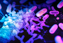 AMR: le strategie promettenti contro i superbatteri Antimicrobico-resistenza