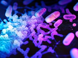 AMR: le strategie promettenti contro i superbatteri Antimicrobico-resistenza