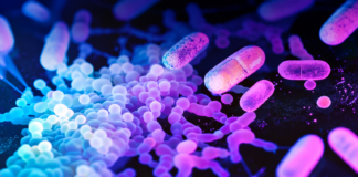 AMR: le strategie promettenti contro i superbatteri Antimicrobico-resistenza