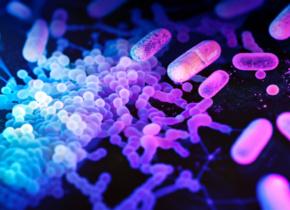 AMR: le strategie promettenti contro i superbatteri Antimicrobico-resistenza
