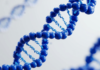 EuropaBio presenta l’Annual Report 2026: focus su Biotech Act e innovazione Europa Bio - Annual Report 2026