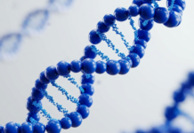 EuropaBio presenta l’Annual Report 2026: focus su Biotech Act e innovazione Europa Bio - Annual Report 2026