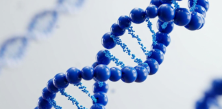EuropaBio presenta l’Annual Report 2026: focus su Biotech Act e innovazione Europa Bio - Annual Report 2026