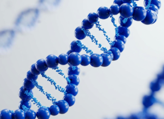 EuropaBio presenta l’Annual Report 2026: focus su Biotech Act e innovazione Europa Bio - Annual Report 2026