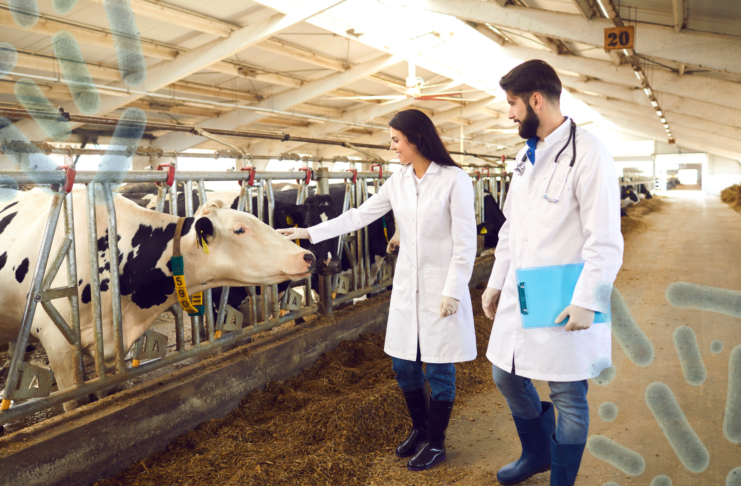 Medicinali veterinari, il punto sulle attività del CVMP per gli antimicrobici 2021-2025 Farmaci veterinari - AMR