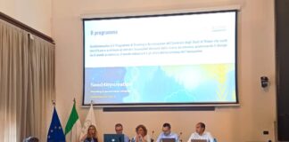 Seed4Innovation, a settembre il via della sesta edizione Seed4Innovation, al via la sesta edizione
