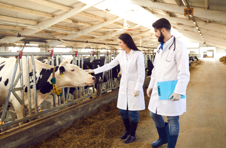 User safety per i medicinali veterinari: consultazione sulle bozze di linea guida