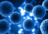 Resistenza ai farmaci in oncologia: la risposta di Metapro tra organoidi e marcatori Resistenza ai farmaci in oncologia: la risposta di Metapro tra organoidi e marcatori