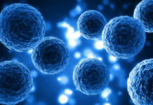 Resistenza ai farmaci in oncologia: la risposta di Metapro tra organoidi e marcatori Resistenza ai farmaci in oncologia: la risposta di Metapro tra organoidi e marcatori