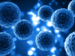 Resistenza ai farmaci in oncologia: la risposta di Metapro tra organoidi e marcatori Resistenza ai farmaci in oncologia: la risposta di Metapro tra organoidi e marcatori