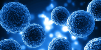 Resistenza ai farmaci in oncologia: la risposta di Metapro tra organoidi e marcatori Resistenza ai farmaci in oncologia: la risposta di Metapro tra organoidi e marcatori