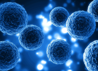Resistenza ai farmaci in oncologia: la risposta di Metapro tra organoidi e marcatori Resistenza ai farmaci in oncologia: la risposta di Metapro tra organoidi e marcatori