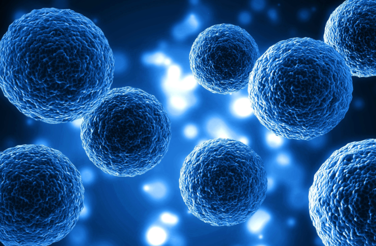 Resistenza ai farmaci in oncologia: la risposta di Metapro tra organoidi e marcatori Resistenza ai farmaci in oncologia: la risposta di Metapro tra organoidi e marcatori