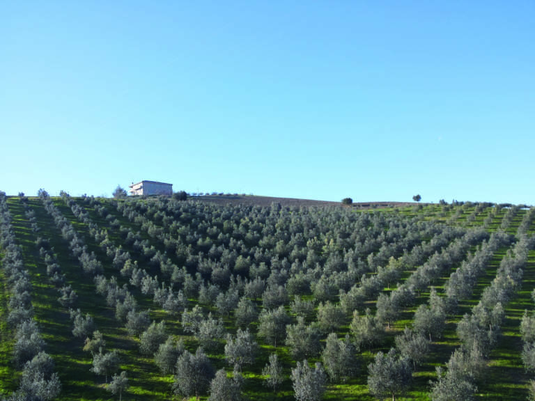 biodiversità