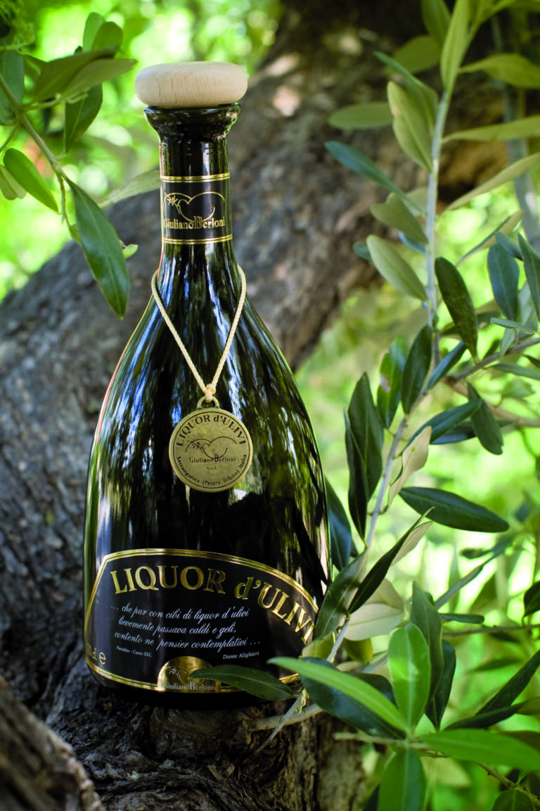 Liquor ulivi e oliveti biologici