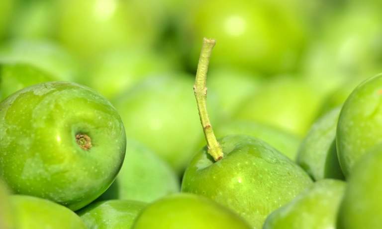 olive verniciate di rame