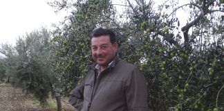 peranzana alta daunia