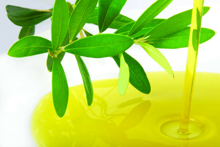 tracciabilità olio