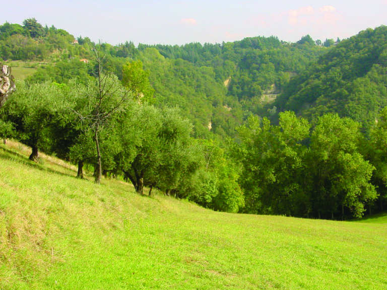 filiera