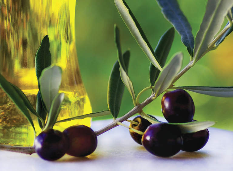 mercato olivicoltura biologica