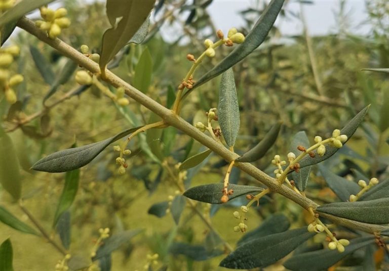 cambiamenti climatici