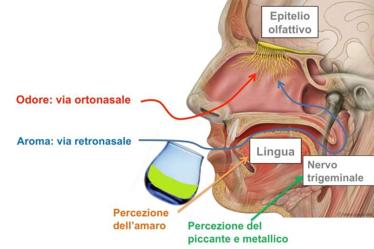 aroma olio