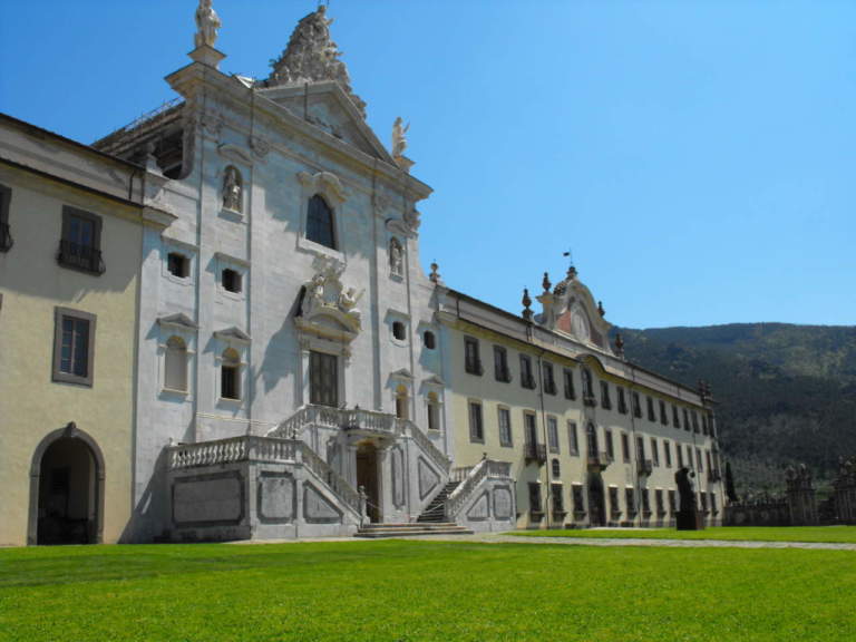 oliveti collinari