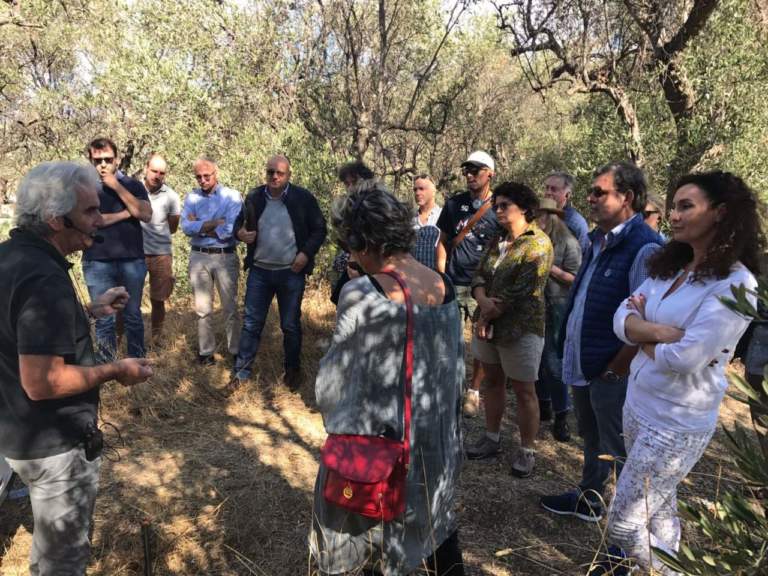 corso onaoo accademia in olivicoltura