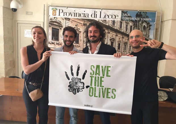 save the olives contro la xylella fastidiosa