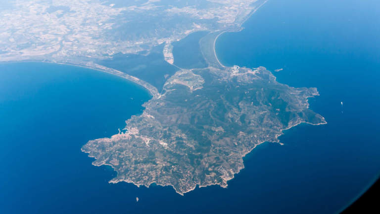 xylella sul monte argentario