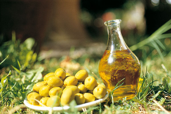 olio di oliva