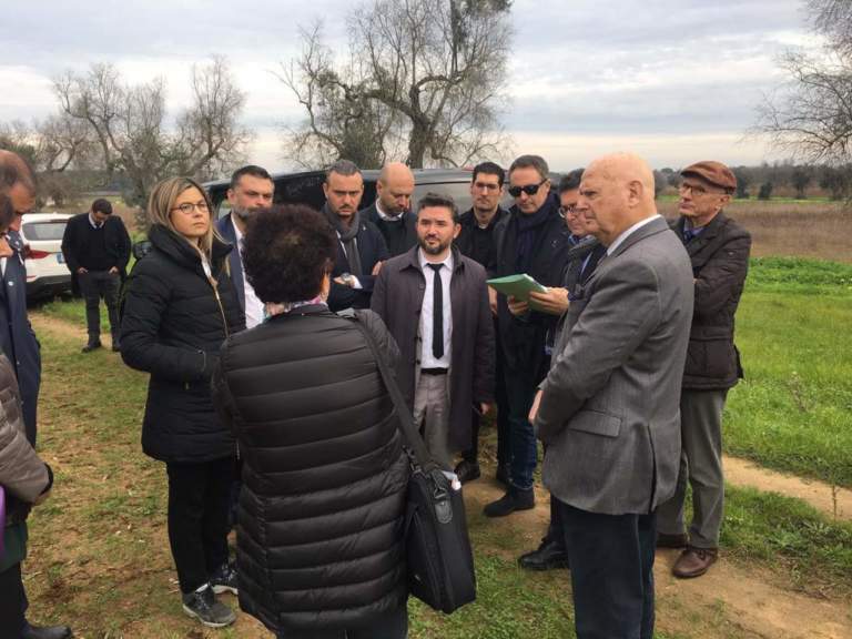 supervisione della xylella in puglia
