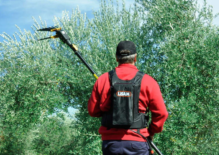 abbacchiatore elettrico swing