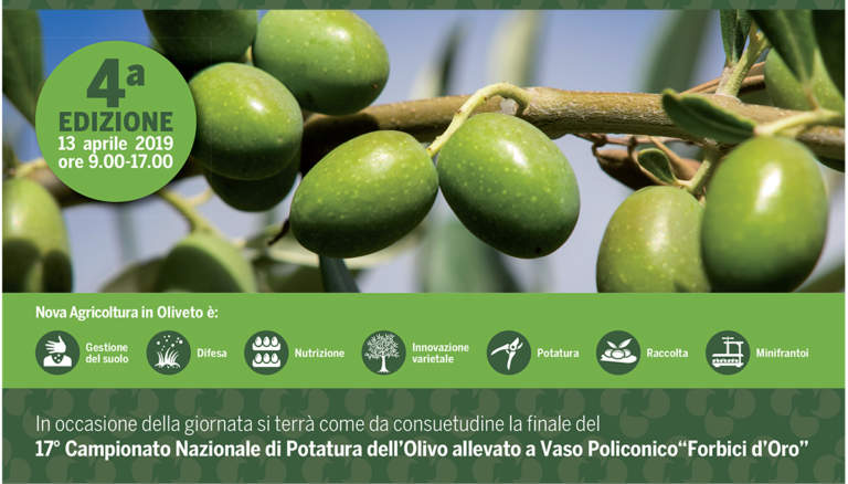 nova agricoltura in oliveto 2019