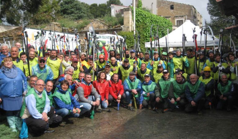 nova agricoltura in oliveto 2019