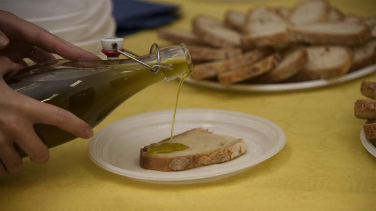 export olio di oliva in america