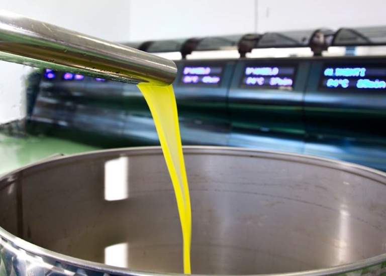 export olio verso usa