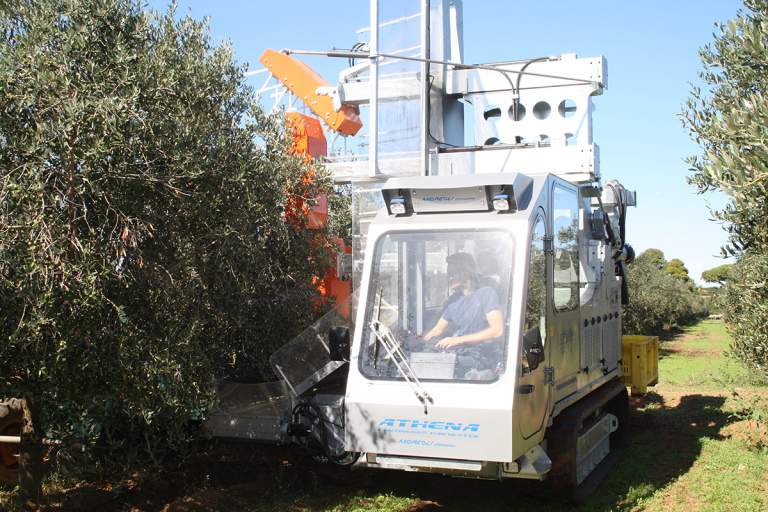Raccoglitrice cingolata Athena di Andreoli Engineering