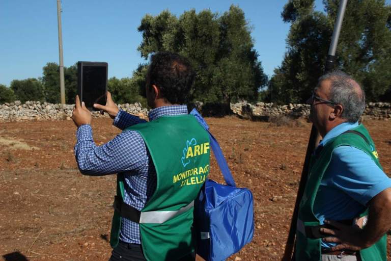 monitoraggio xylella degli agenti airf