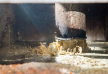 presidente eurolivepomace