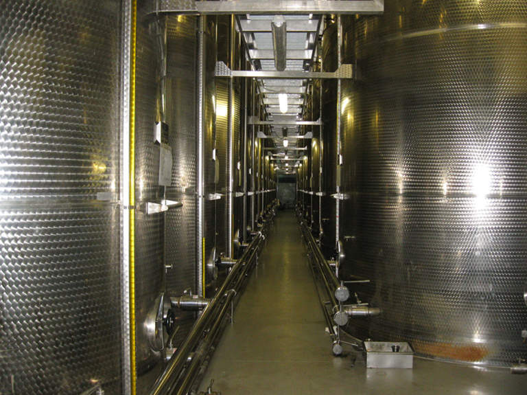 olio di oliva