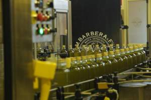 Produzione olearia in Sicilia