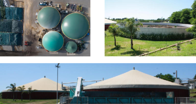 biogas