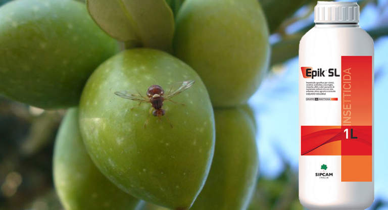 insetticida epik sl