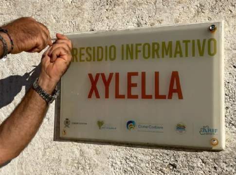 xylella presidio informativo