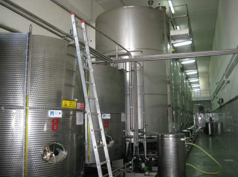spagna registrazione movimenti olio