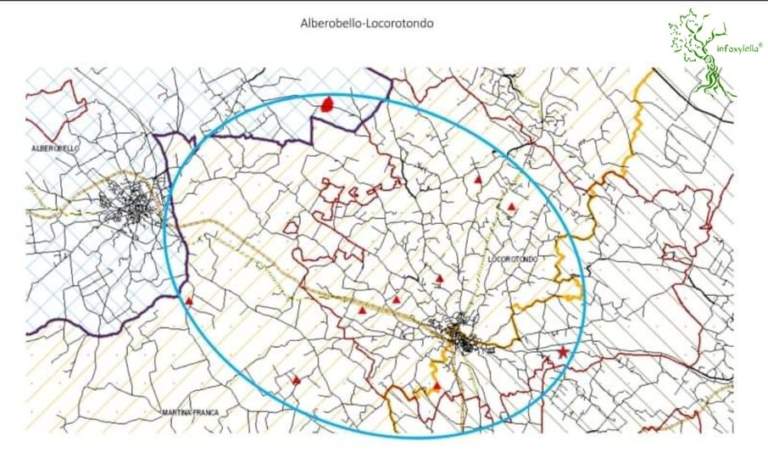 Xylella monitoraggio