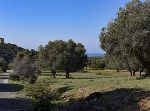 antico frantoio del parco