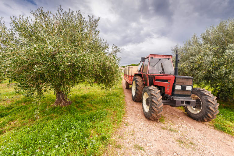 costi di produzione