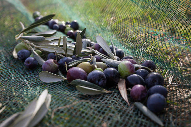 bacchiatori meccanici